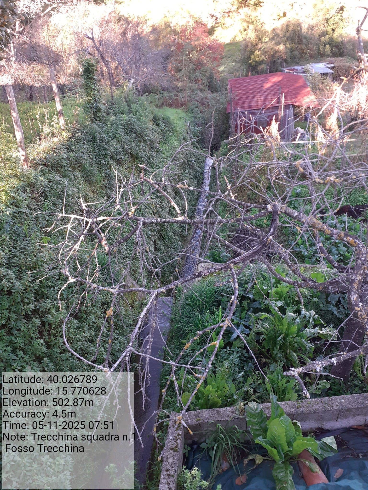 Galleria Fotografica Immagine