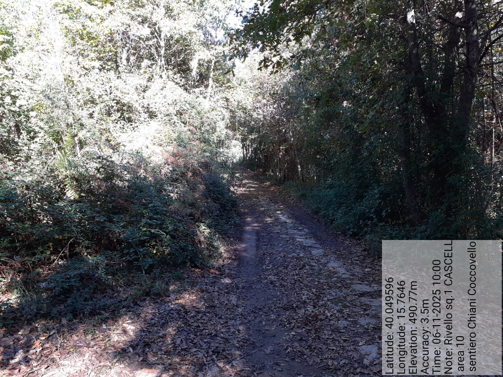 Galleria Fotografica Immagine