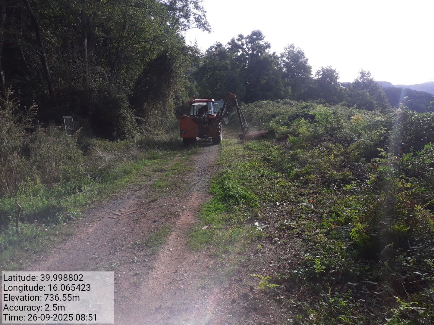 Galleria Fotografica Immagine