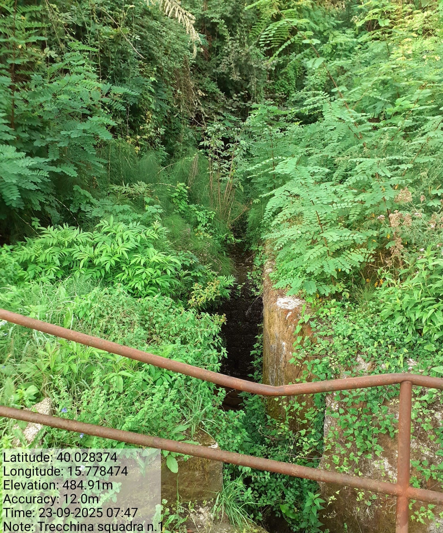 Galleria Fotografica Immagine