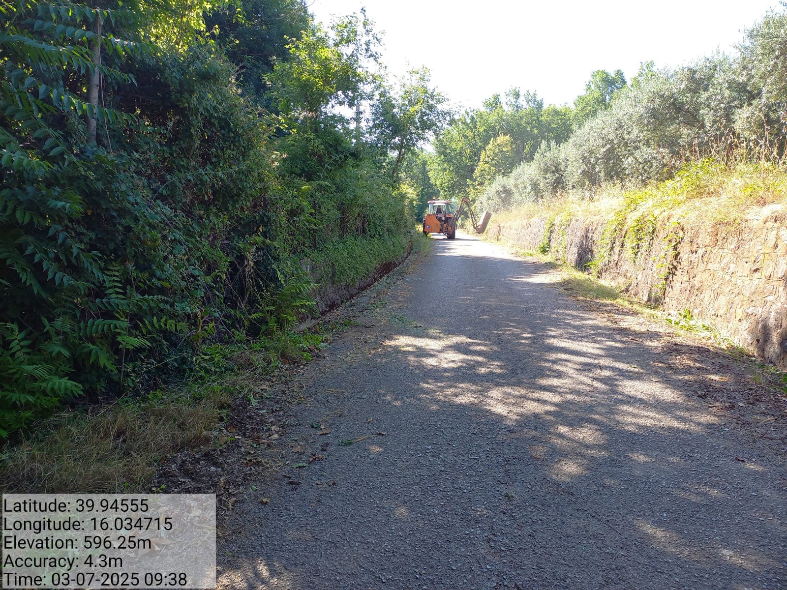 Galleria Fotografica Immagine