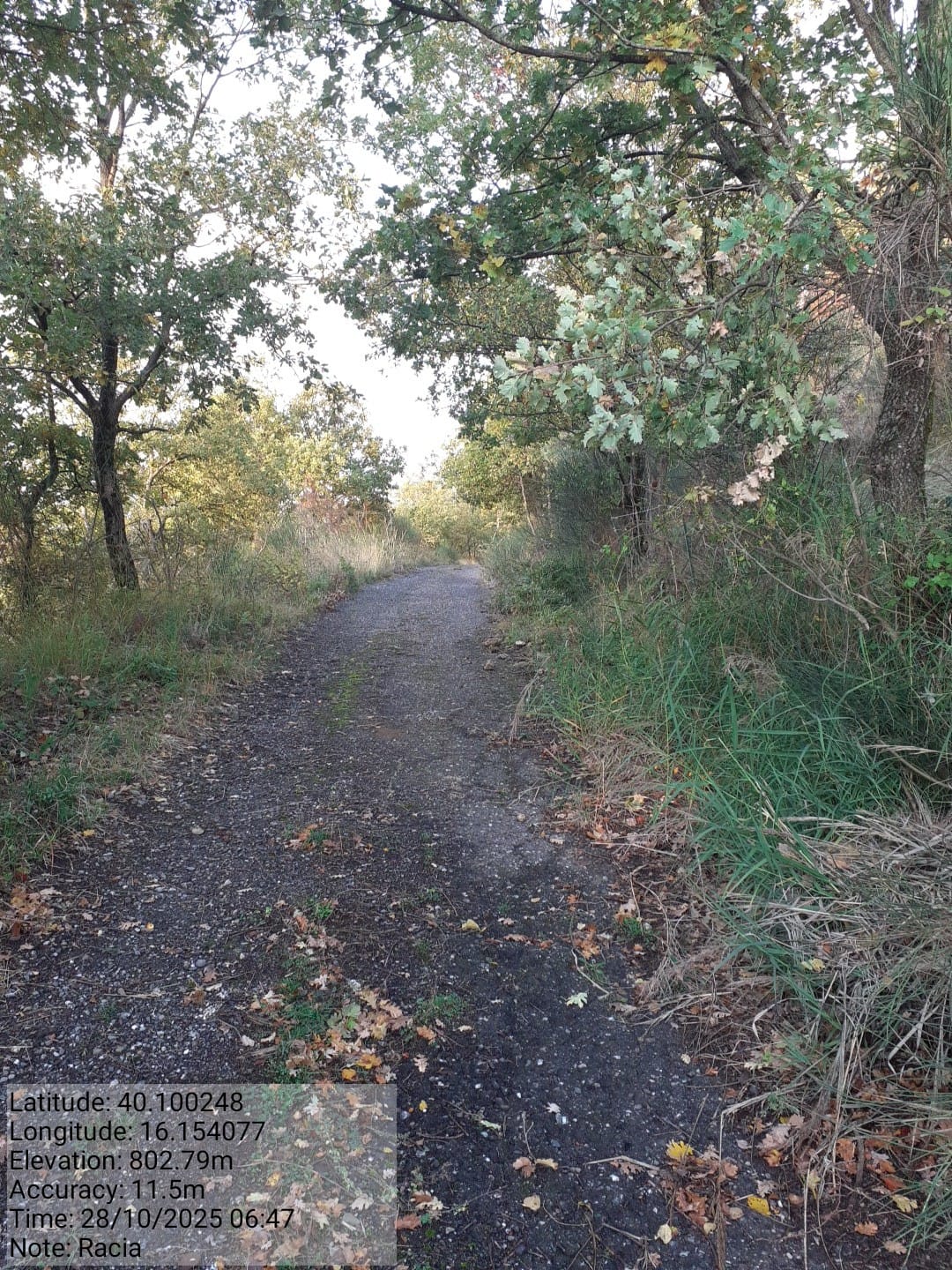 Galleria Fotografica Immagine