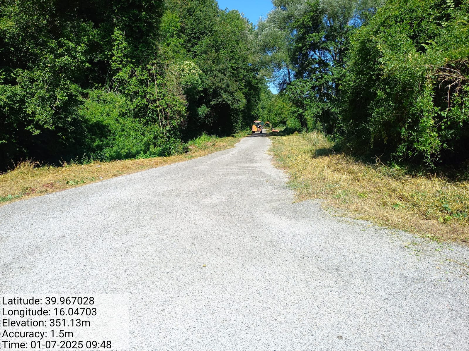 Galleria Fotografica Immagine