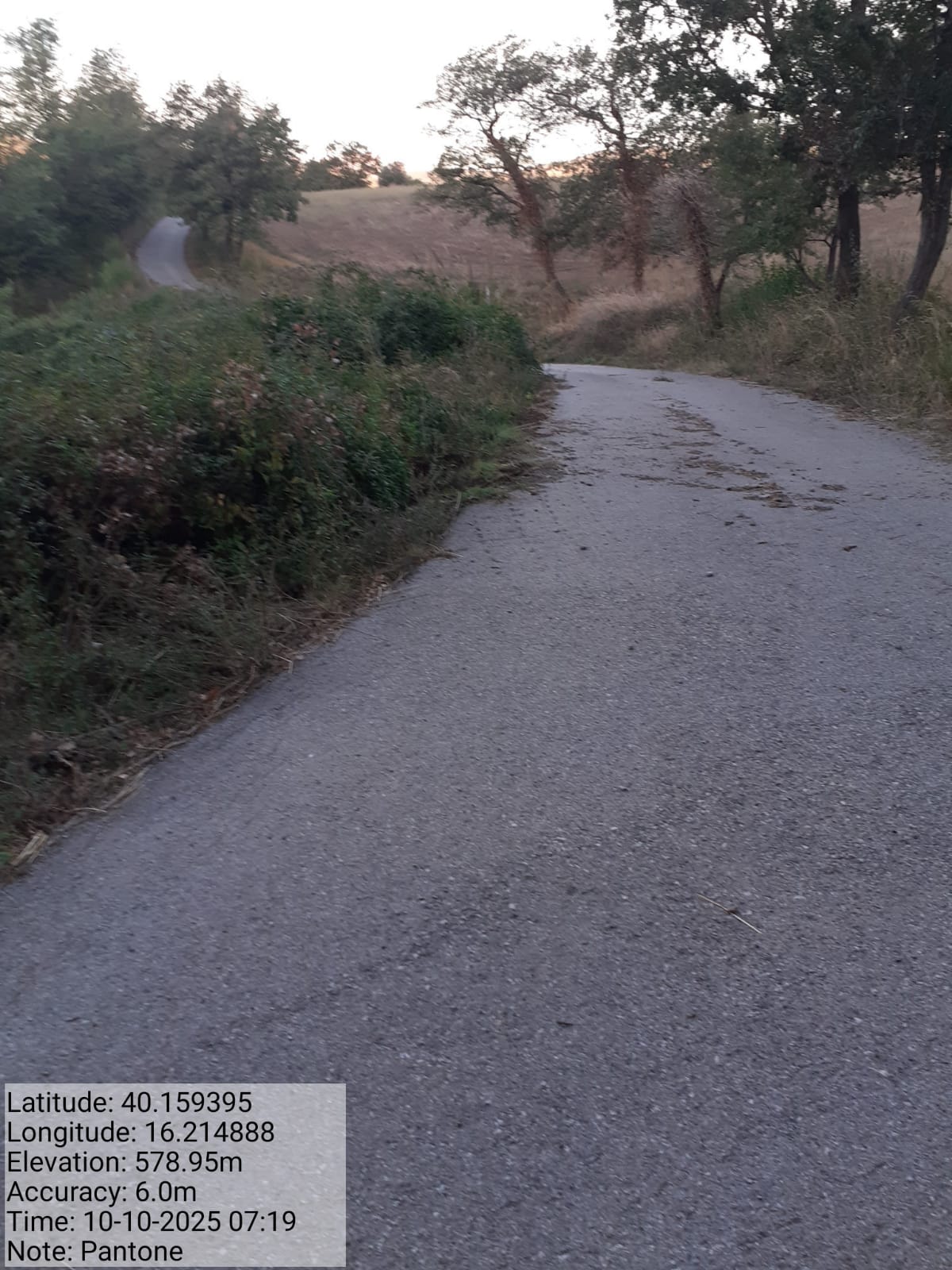 Galleria Fotografica Immagine