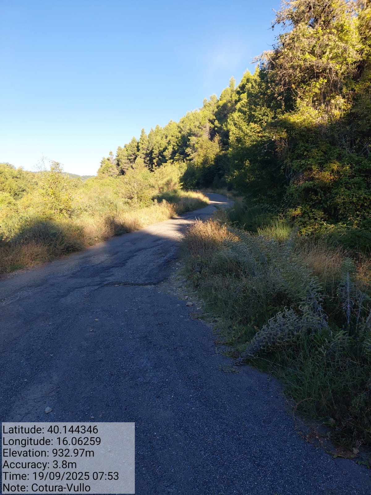 Galleria Fotografica Immagine