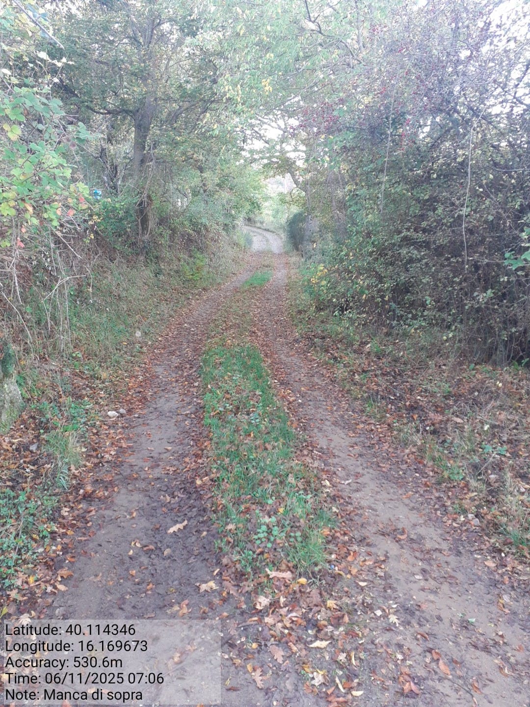 Galleria Fotografica Immagine