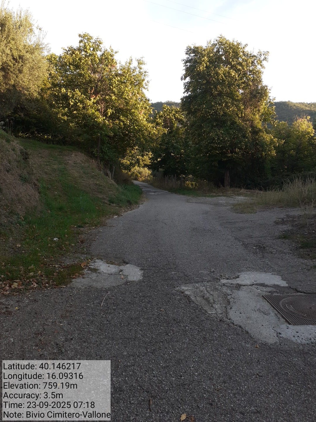 Galleria Fotografica Immagine