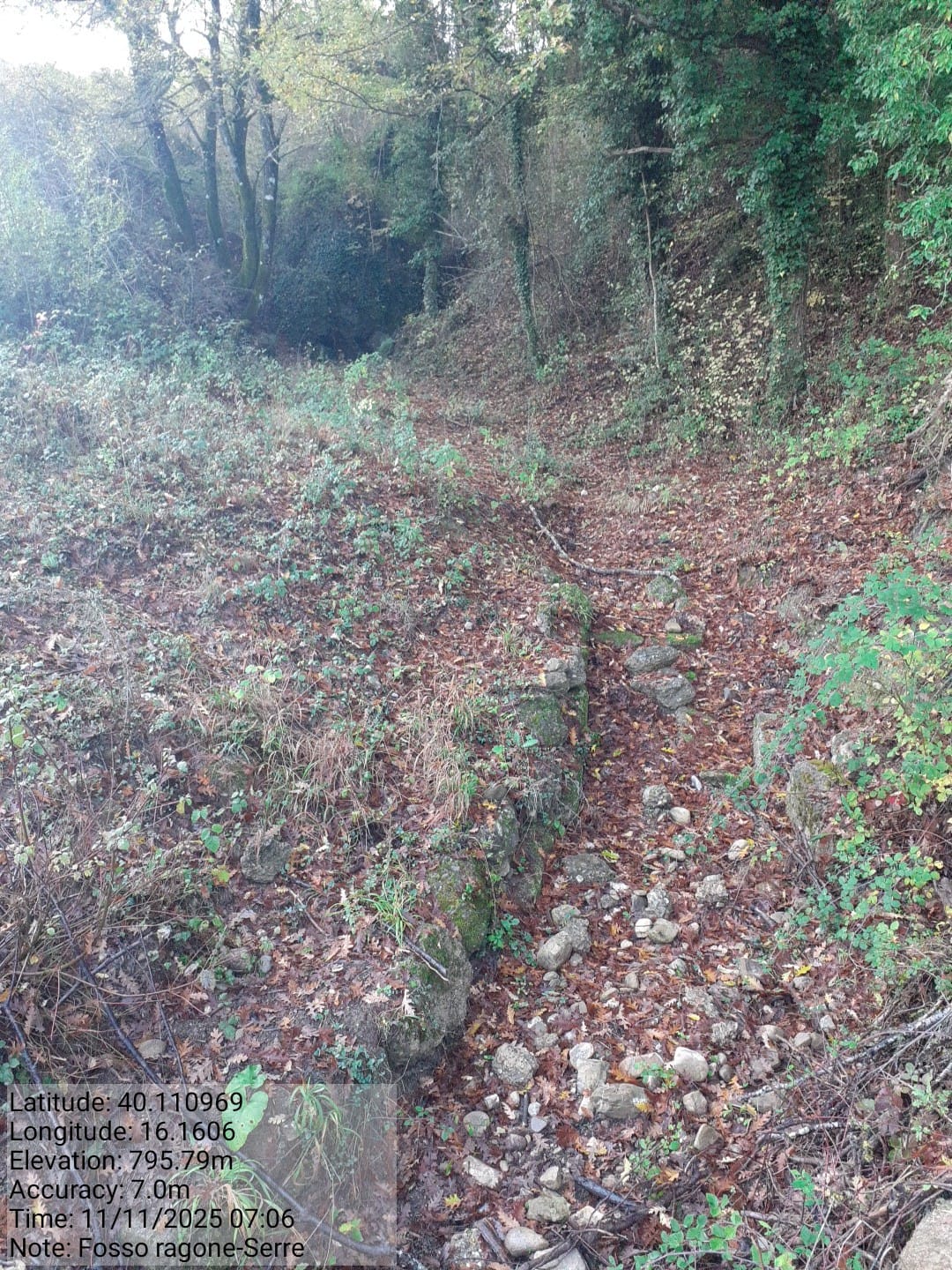 Galleria Fotografica Immagine