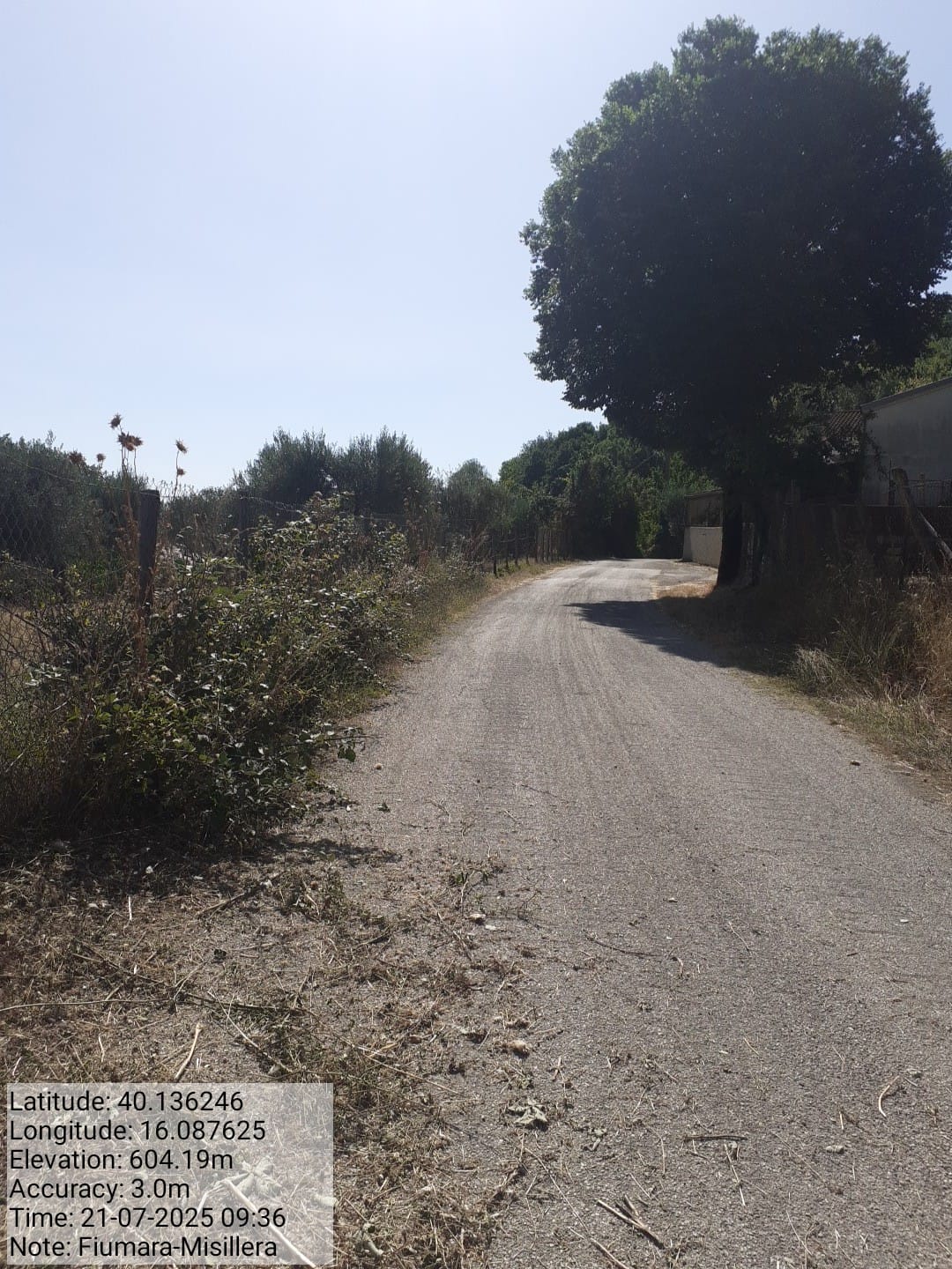 Galleria Fotografica Immagine