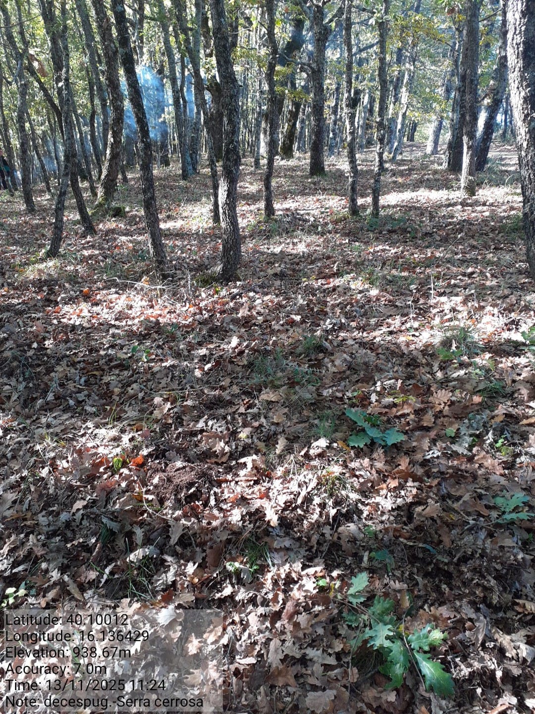 Galleria Fotografica Immagine