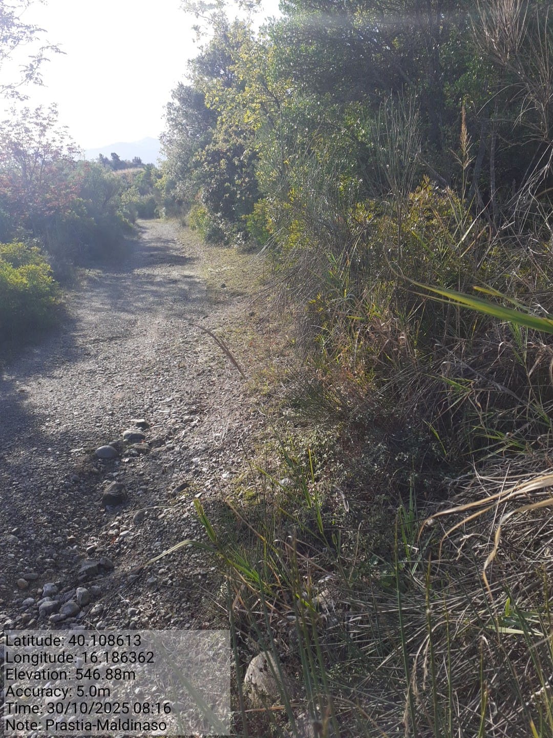 Galleria Fotografica Immagine