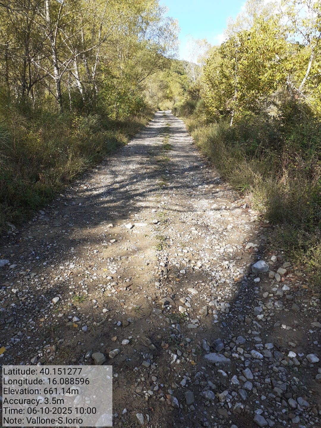 Galleria Fotografica Immagine