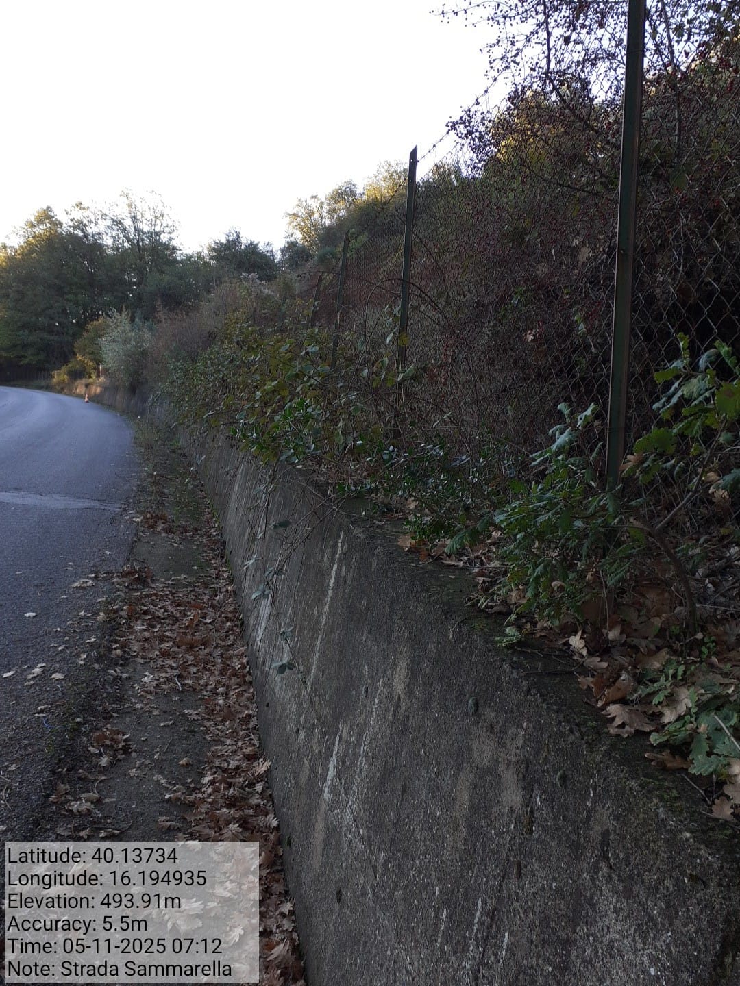 Galleria Fotografica Immagine