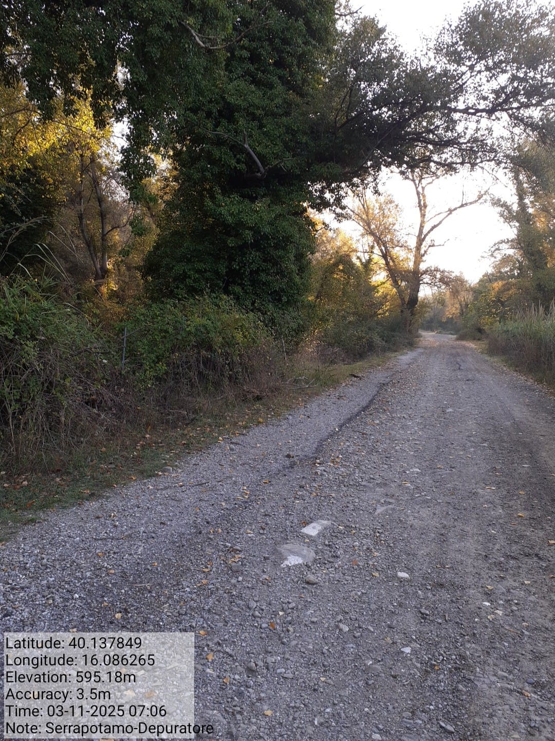 Galleria Fotografica Immagine