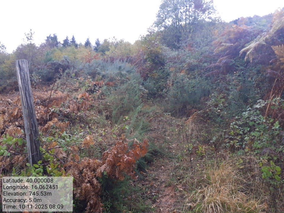 Galleria Fotografica Immagine