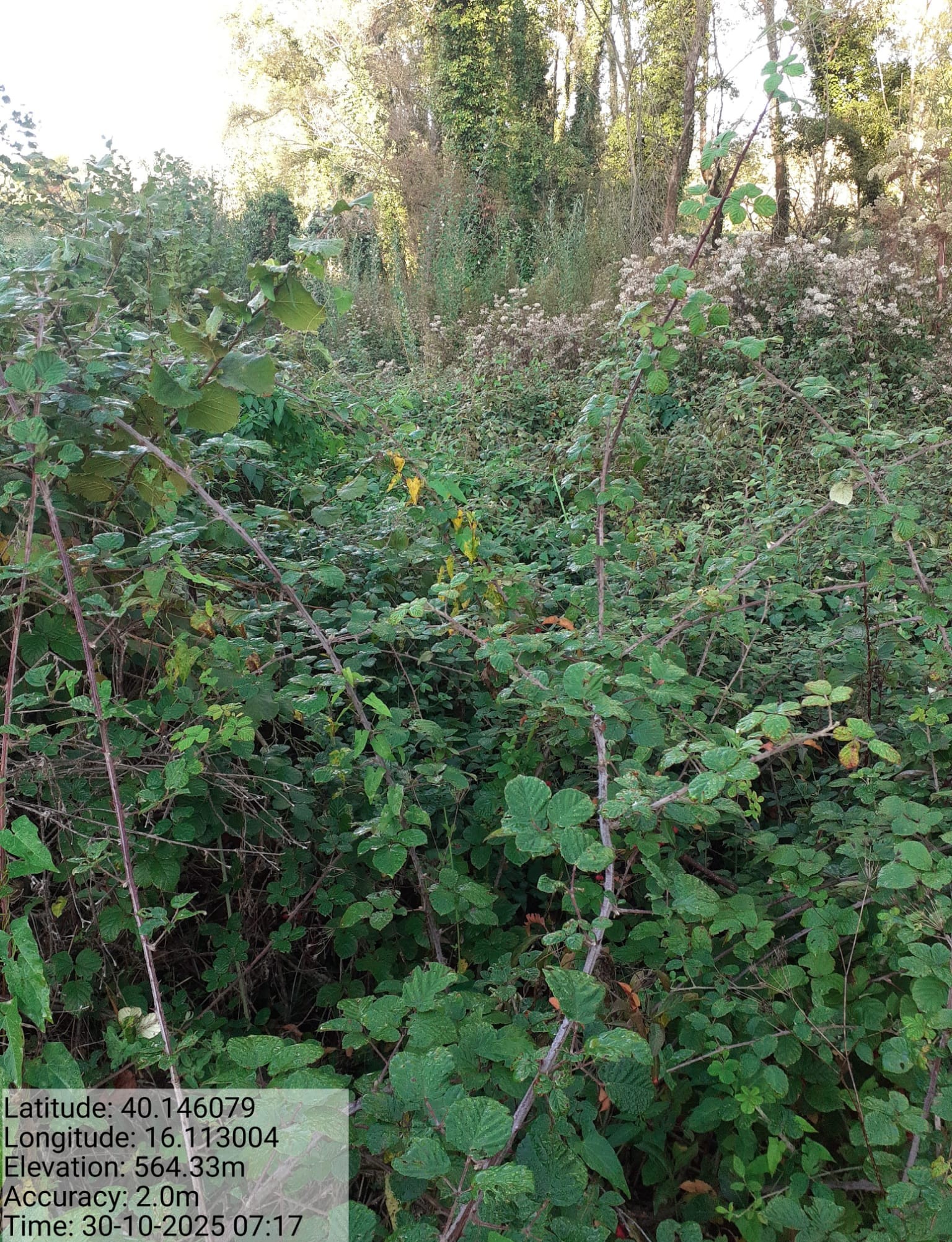 Galleria Fotografica Immagine