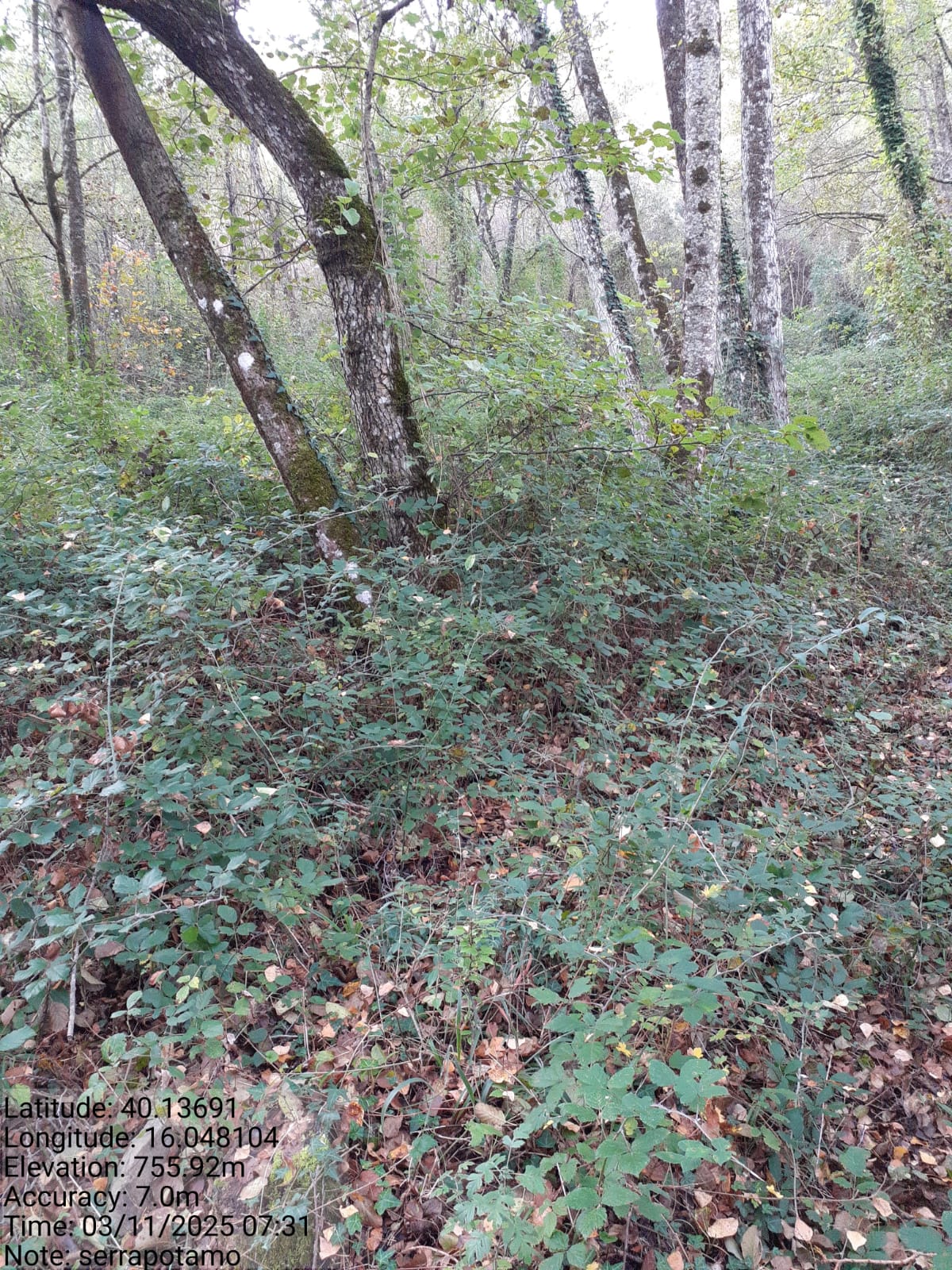 Galleria Fotografica Immagine