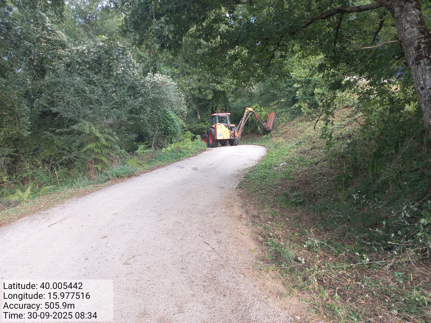 Galleria Fotografica Immagine