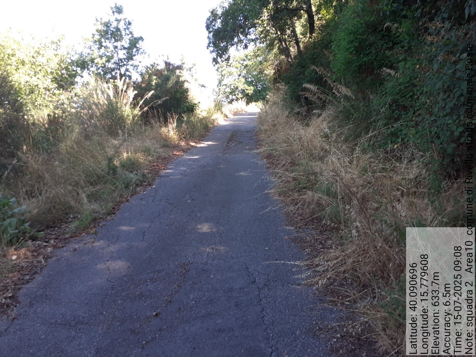 Galleria Fotografica Immagine