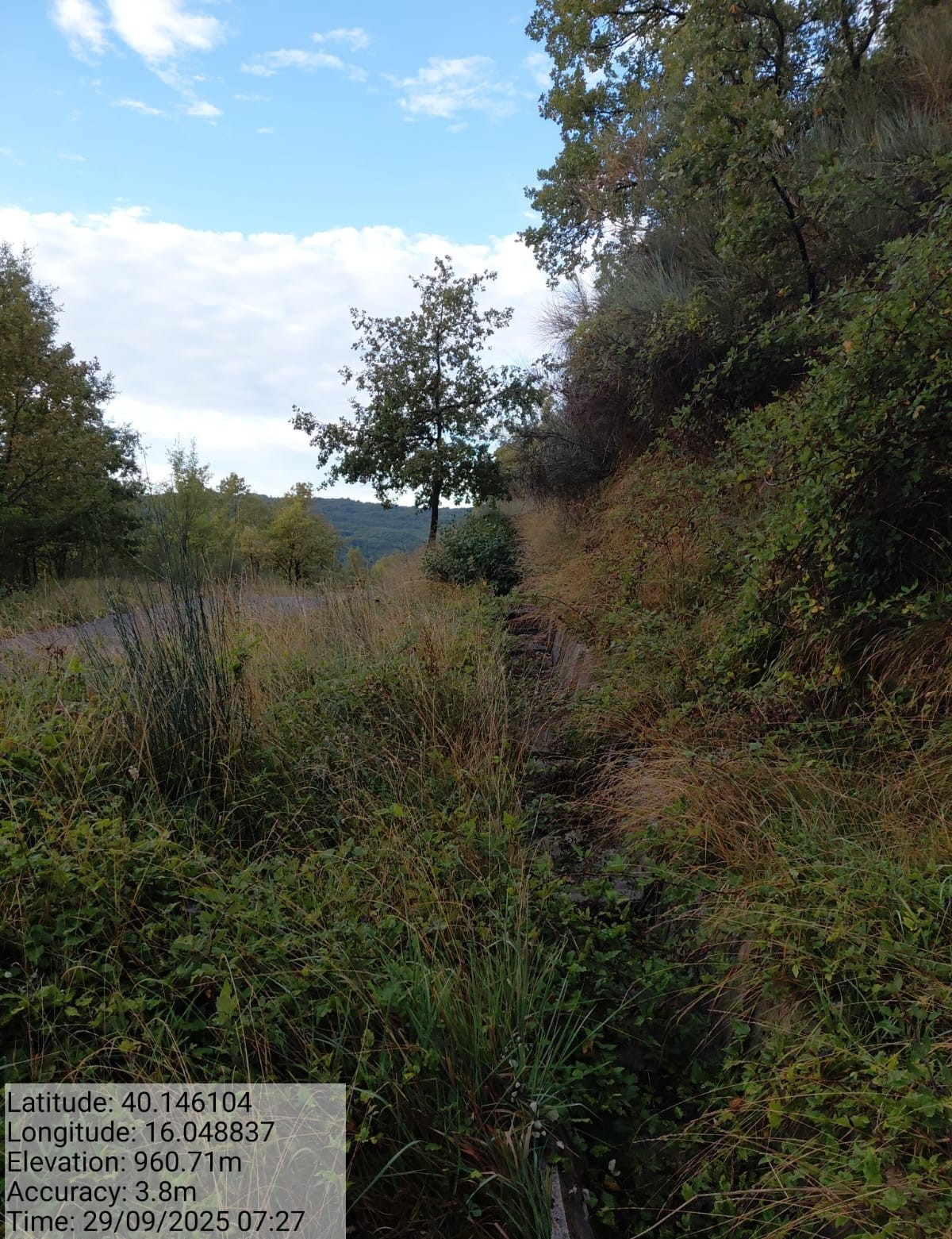 Galleria Fotografica Immagine