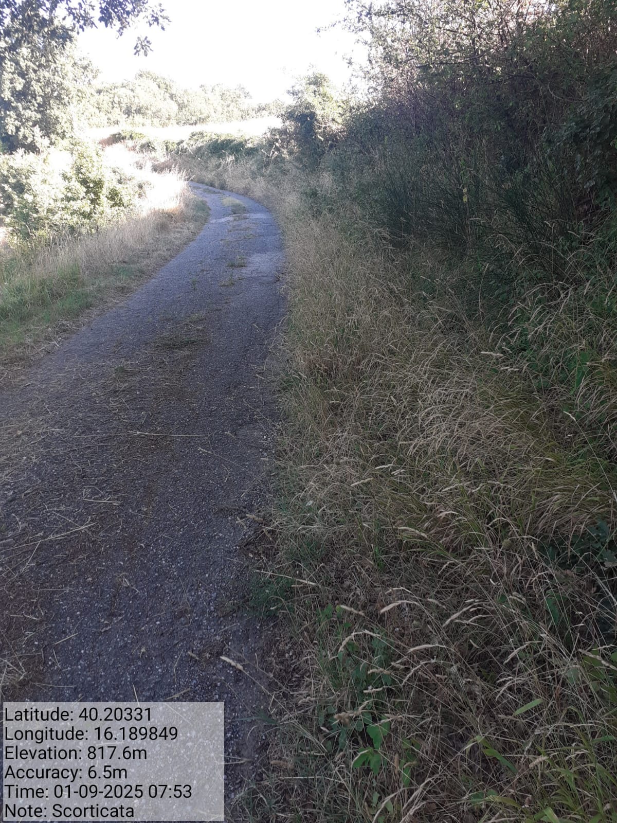 Galleria Fotografica Immagine