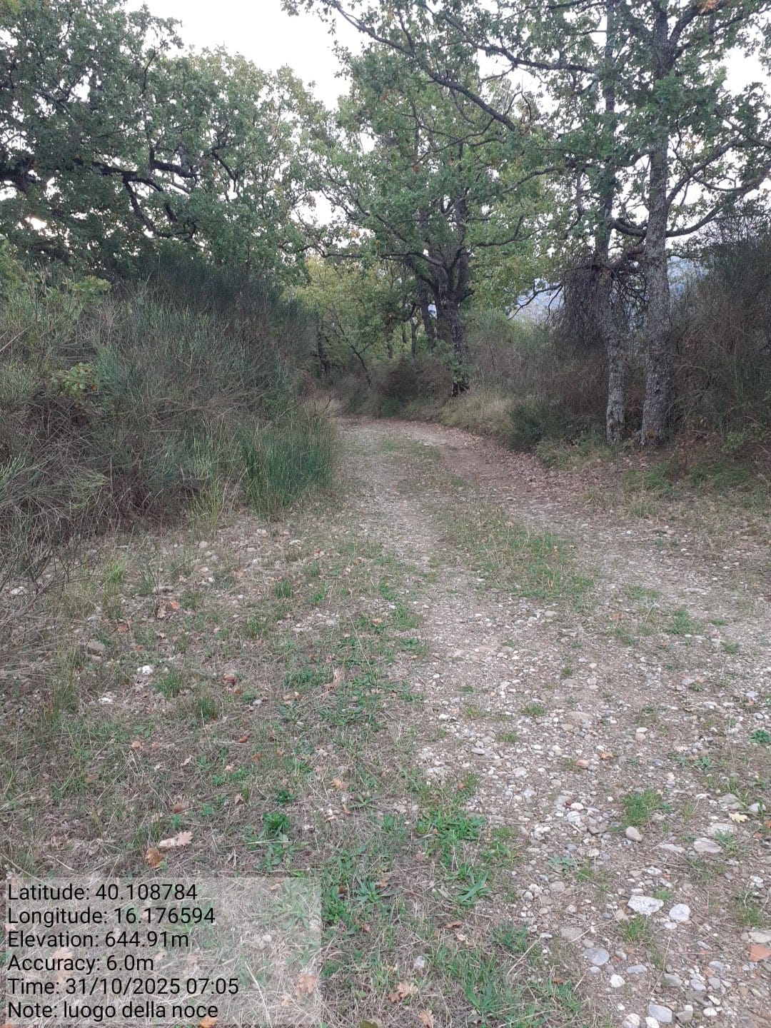 Galleria Fotografica Immagine