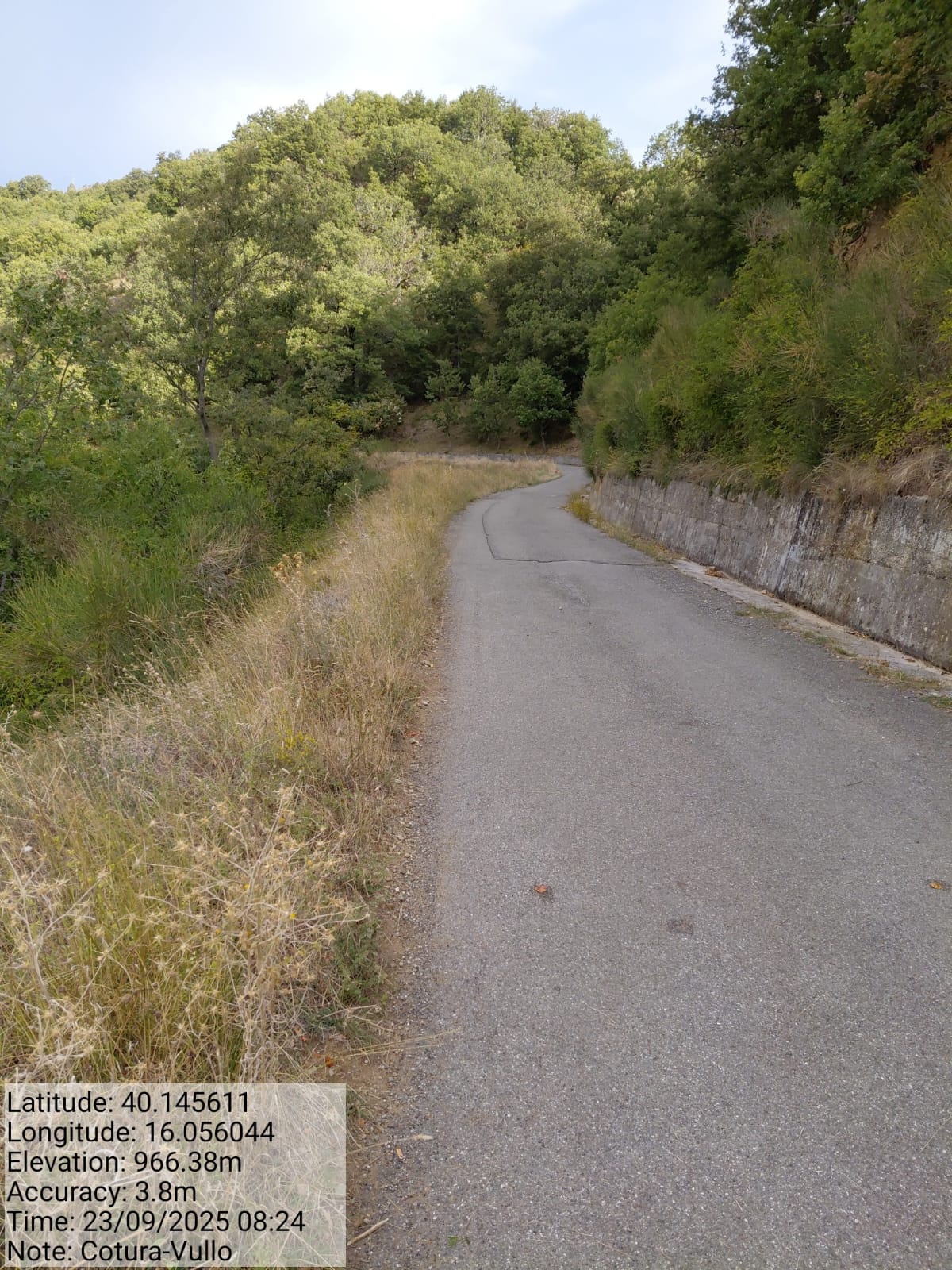 Galleria Fotografica Immagine