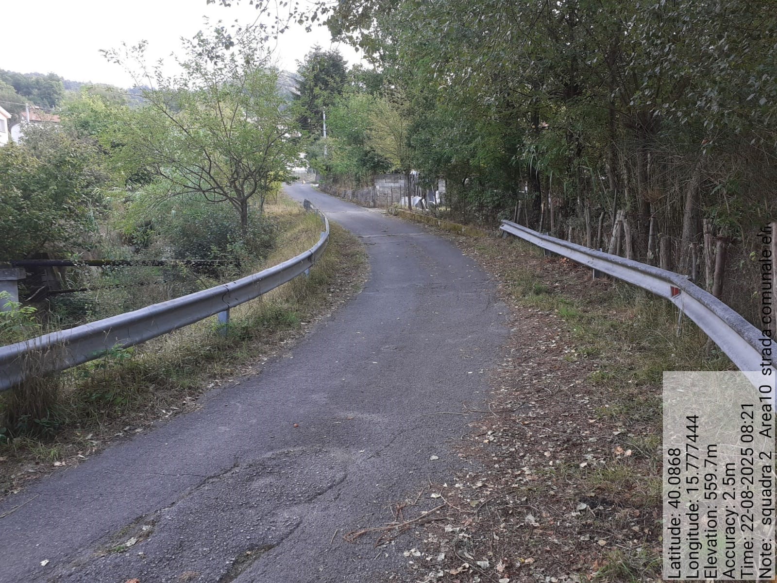 Galleria Fotografica Immagine