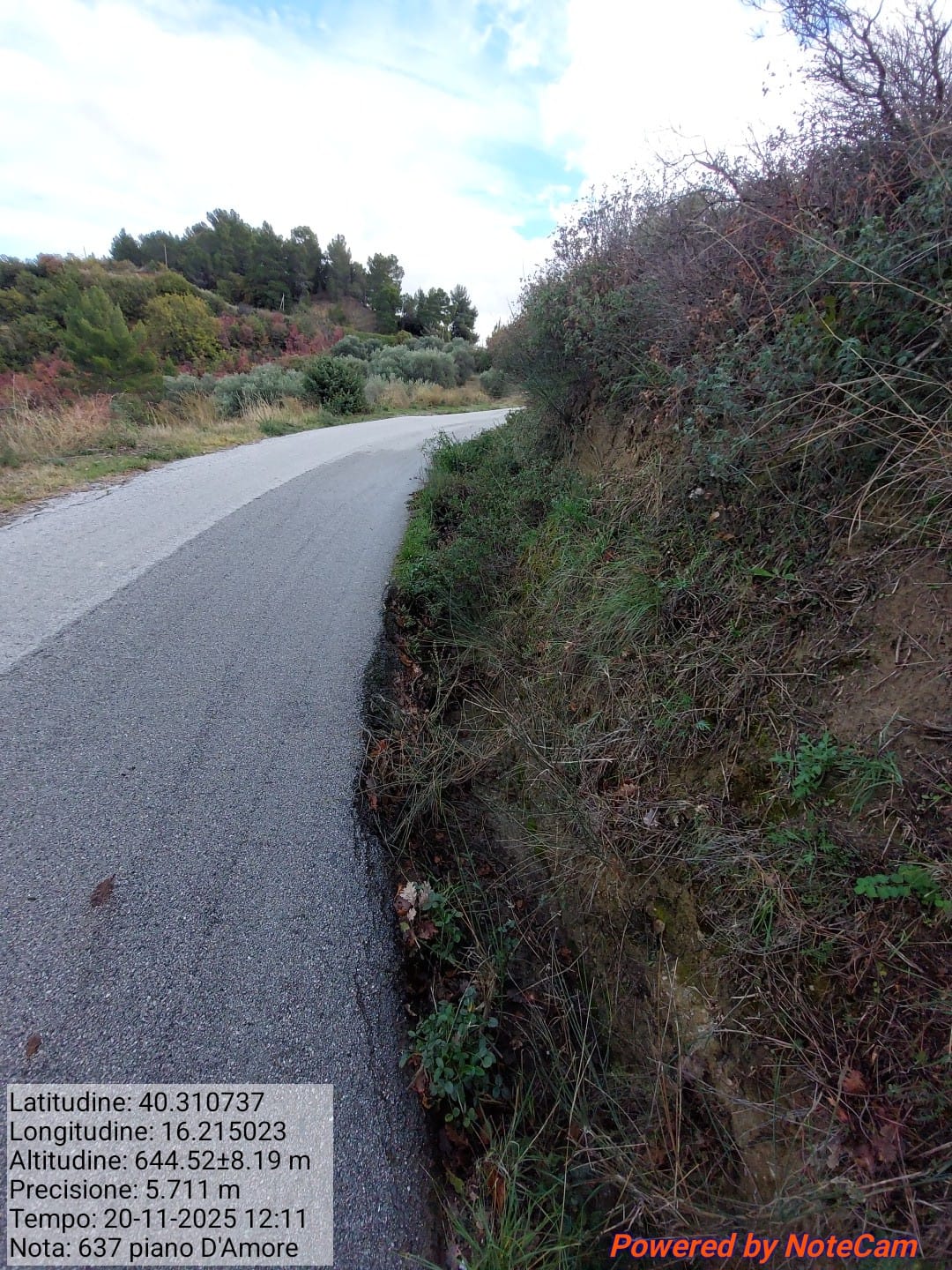 Galleria Fotografica Immagine