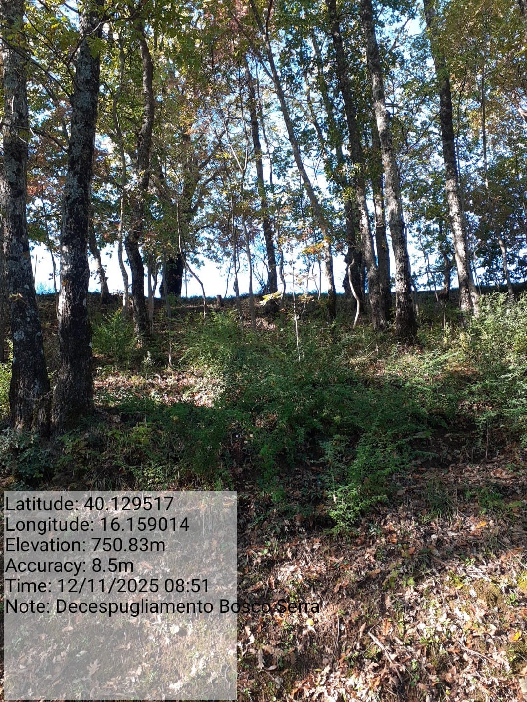 Galleria Fotografica Immagine