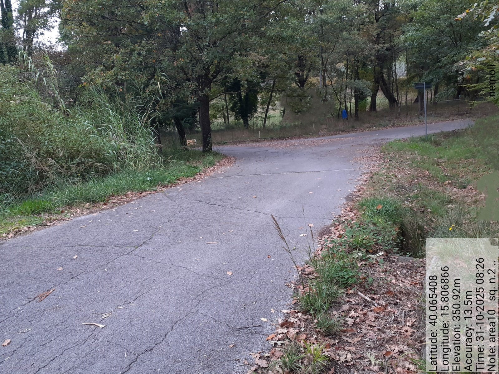 Galleria Fotografica Immagine