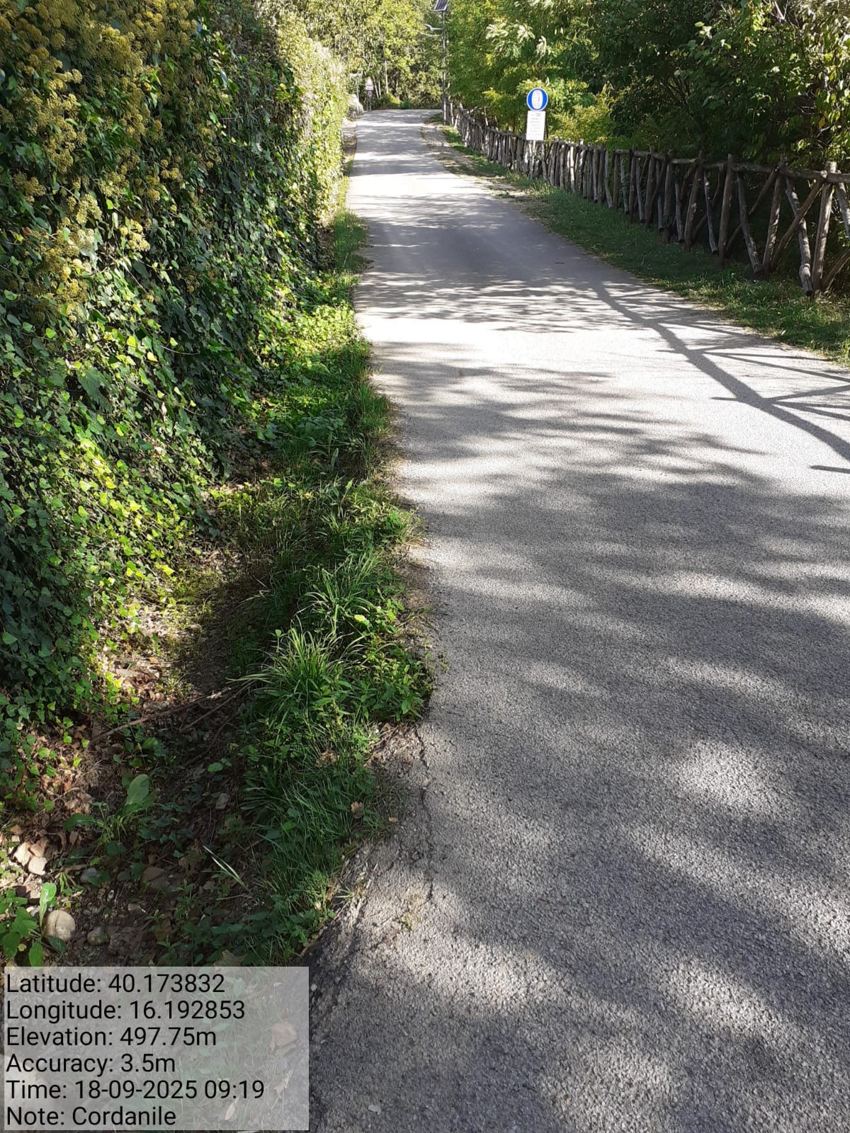 Galleria Fotografica Immagine