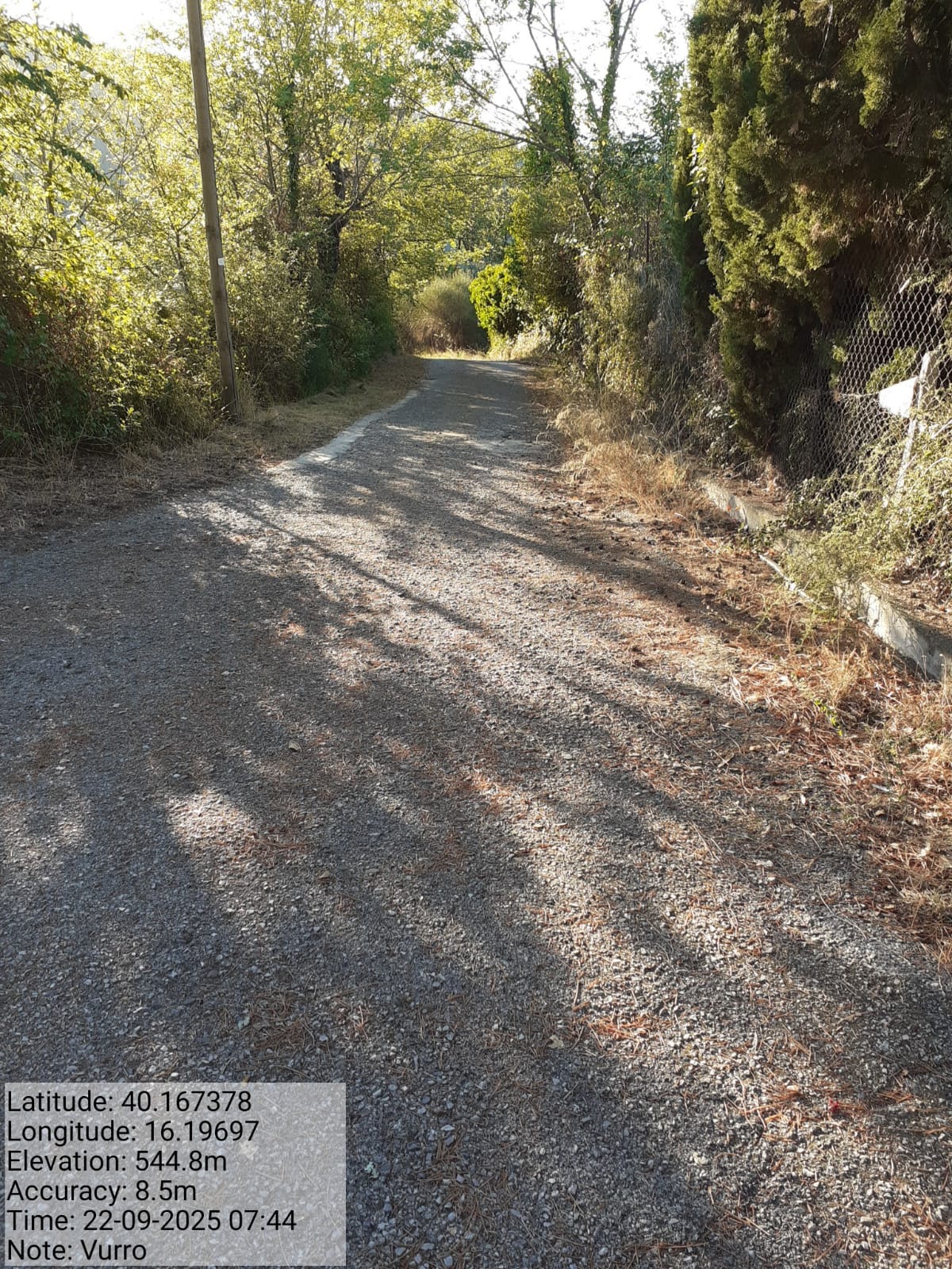 Galleria Fotografica Immagine