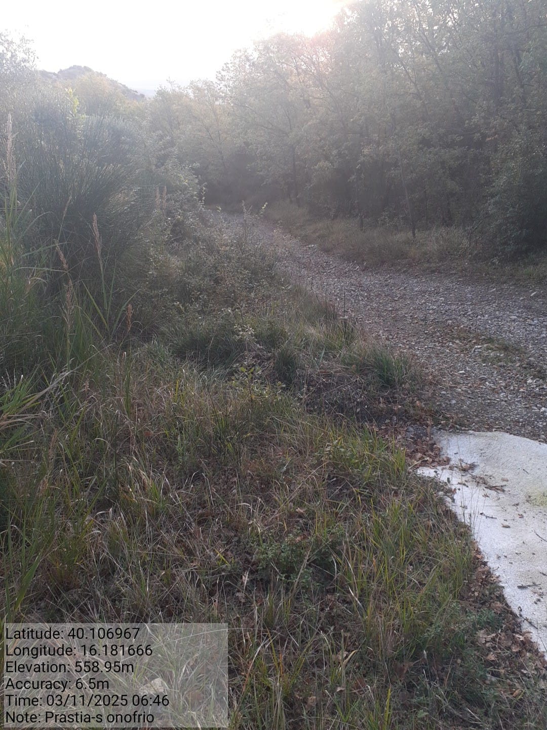 Galleria Fotografica Immagine