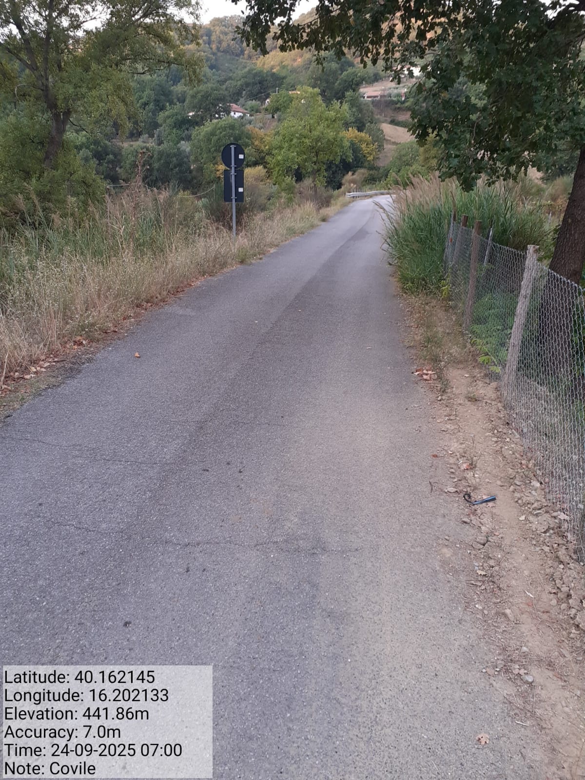 Galleria Fotografica Immagine