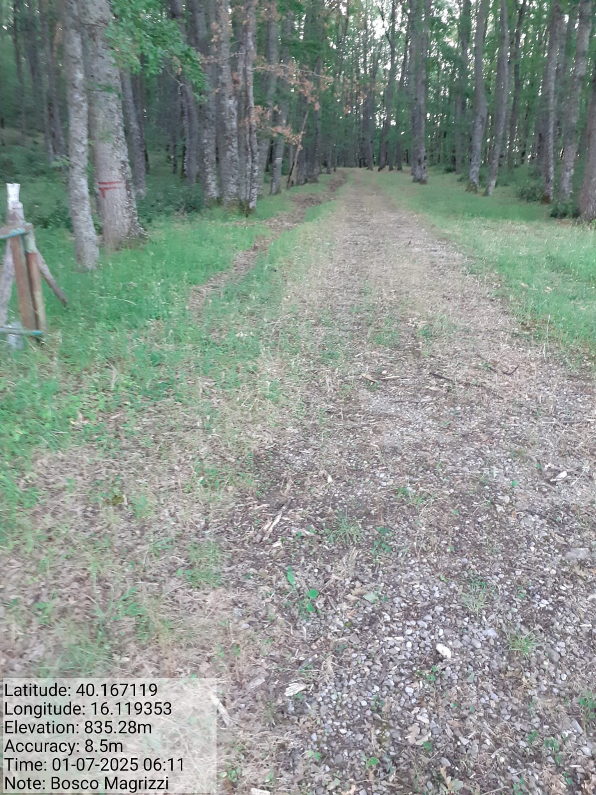 Galleria Fotografica Immagine