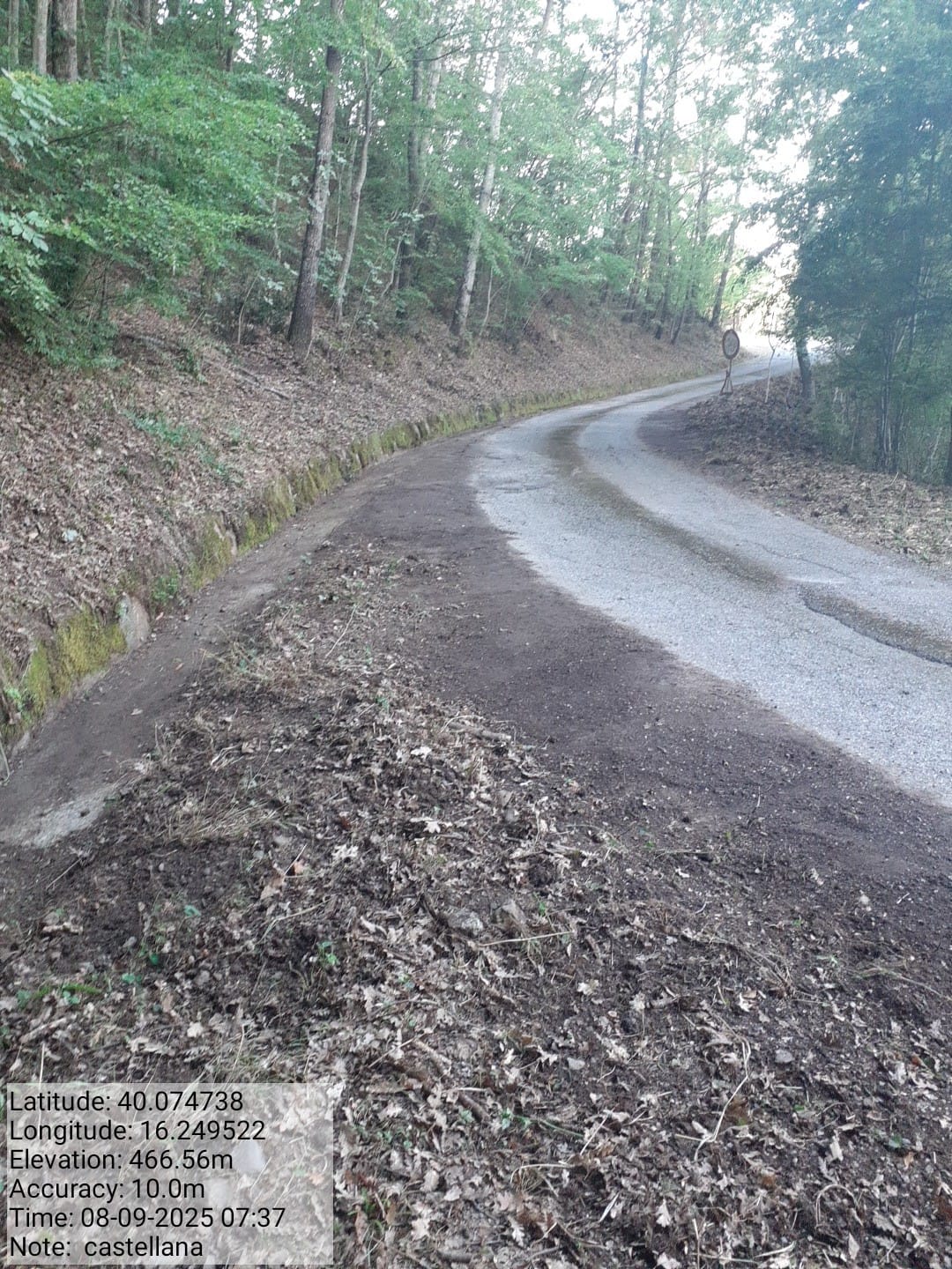 Galleria Fotografica Immagine