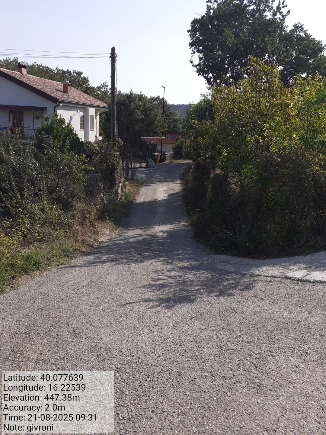 Galleria Fotografica Immagine