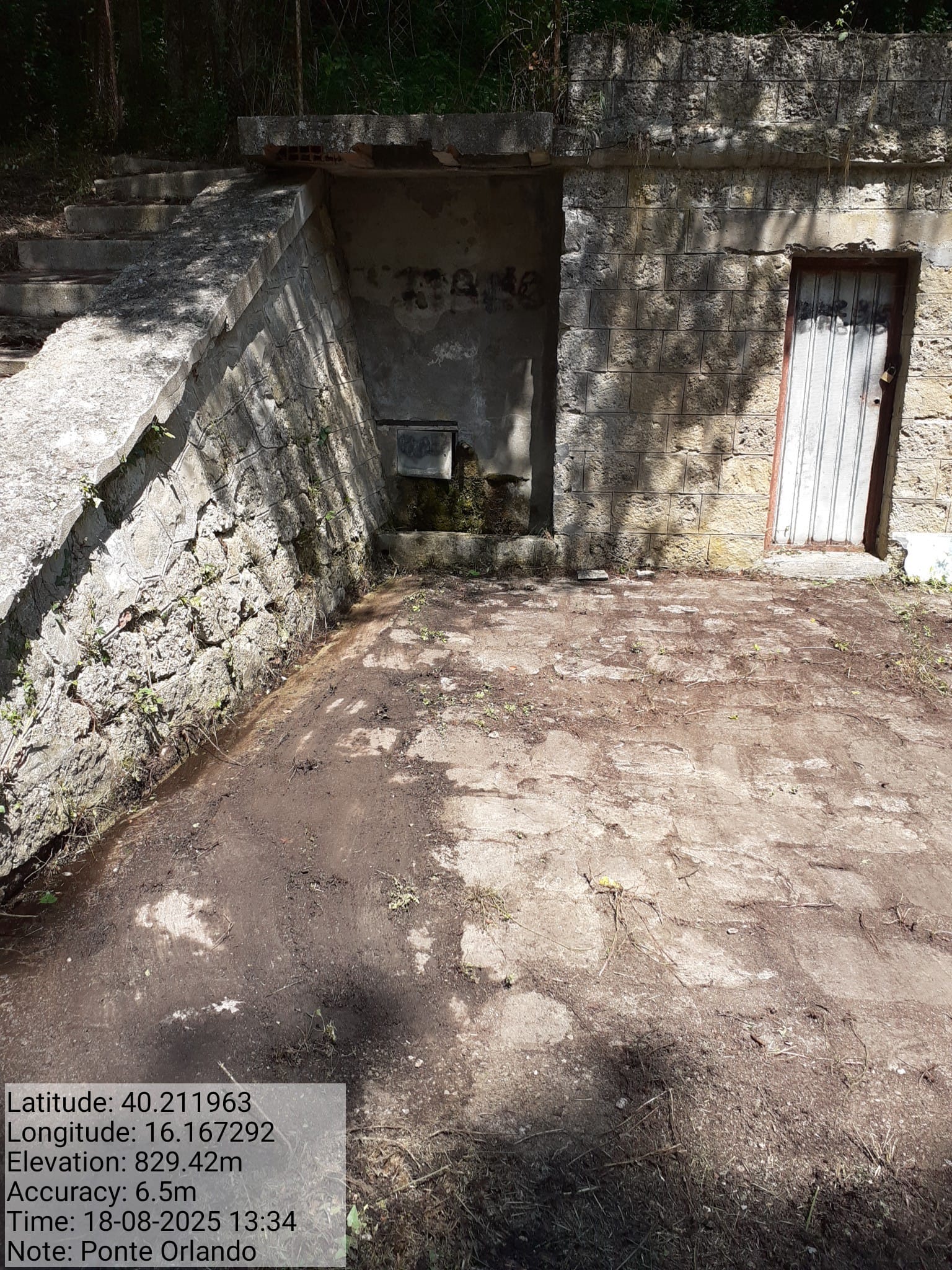 Galleria Fotografica Immagine