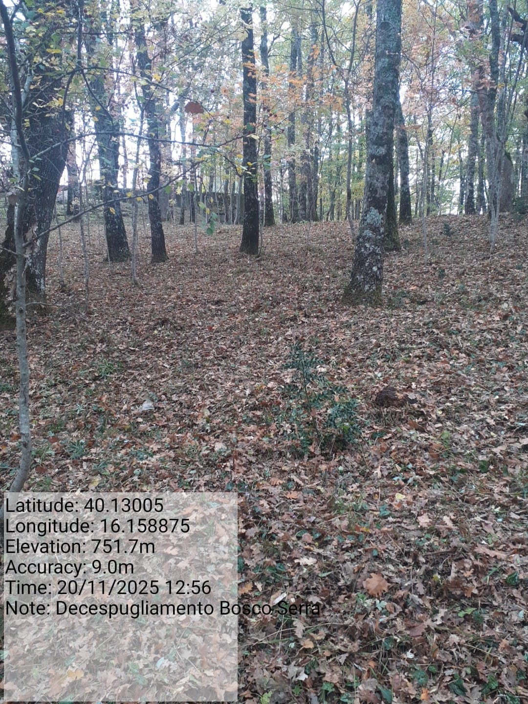 Galleria Fotografica Immagine