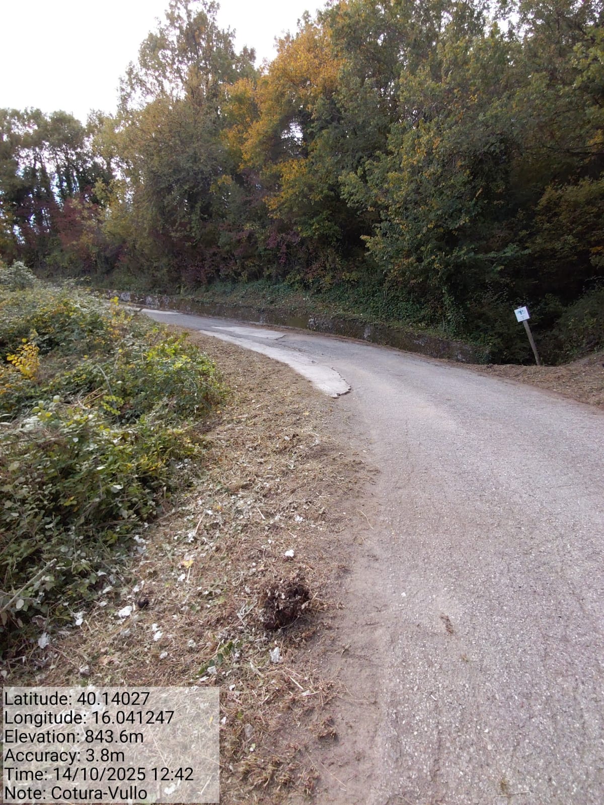 Galleria Fotografica Immagine