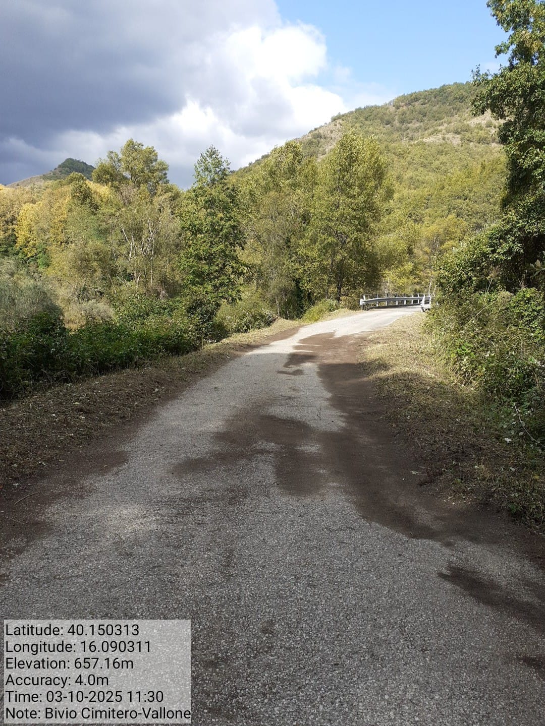 Galleria Fotografica Immagine