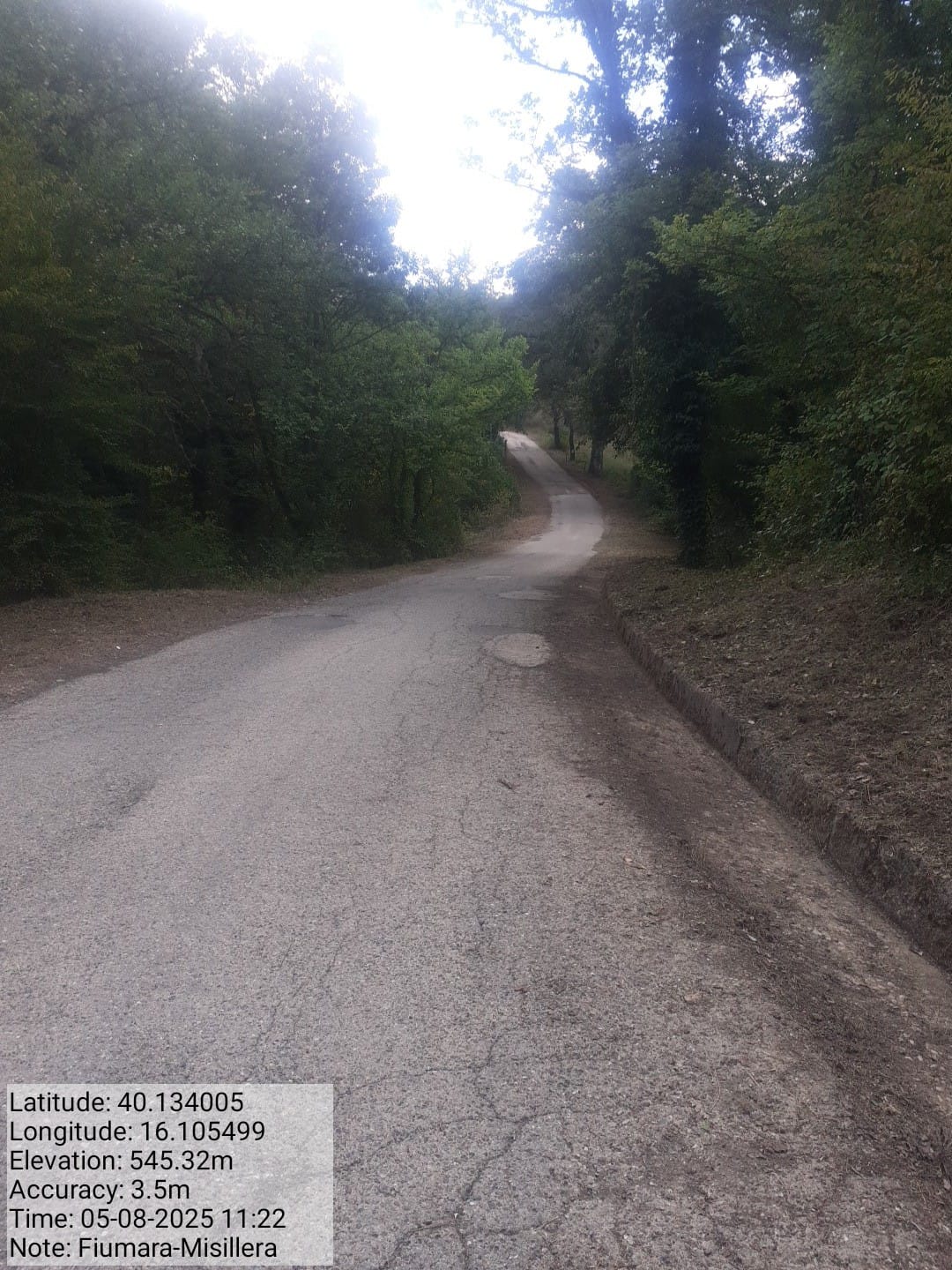 Galleria Fotografica Immagine