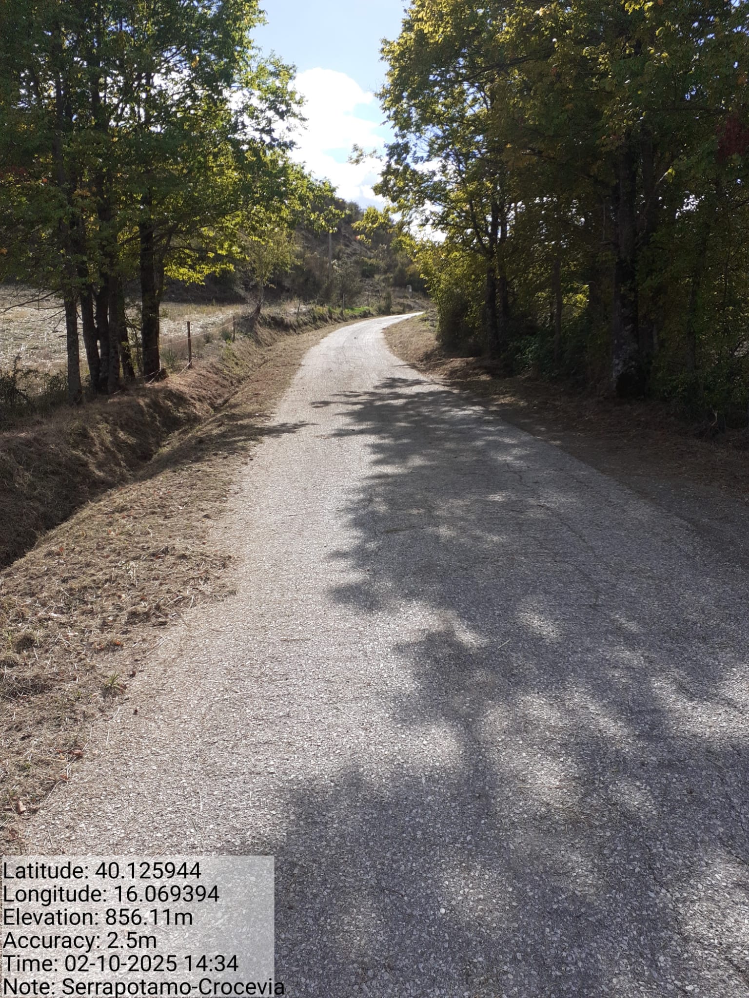 Galleria Fotografica Immagine