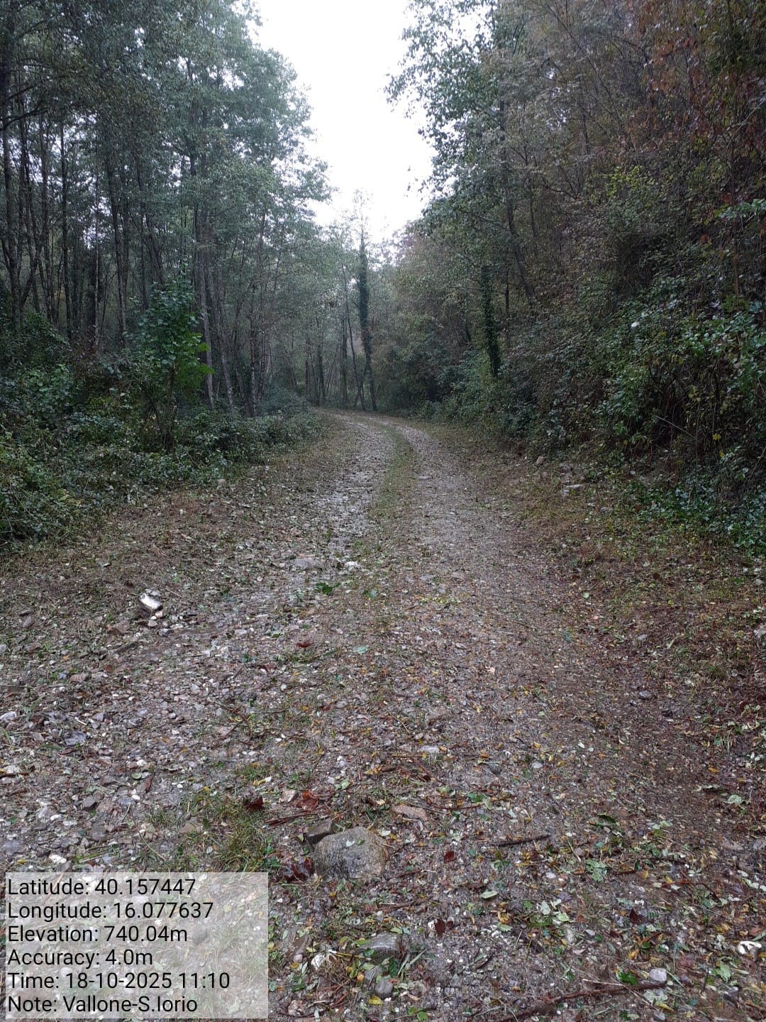 Galleria Fotografica Immagine