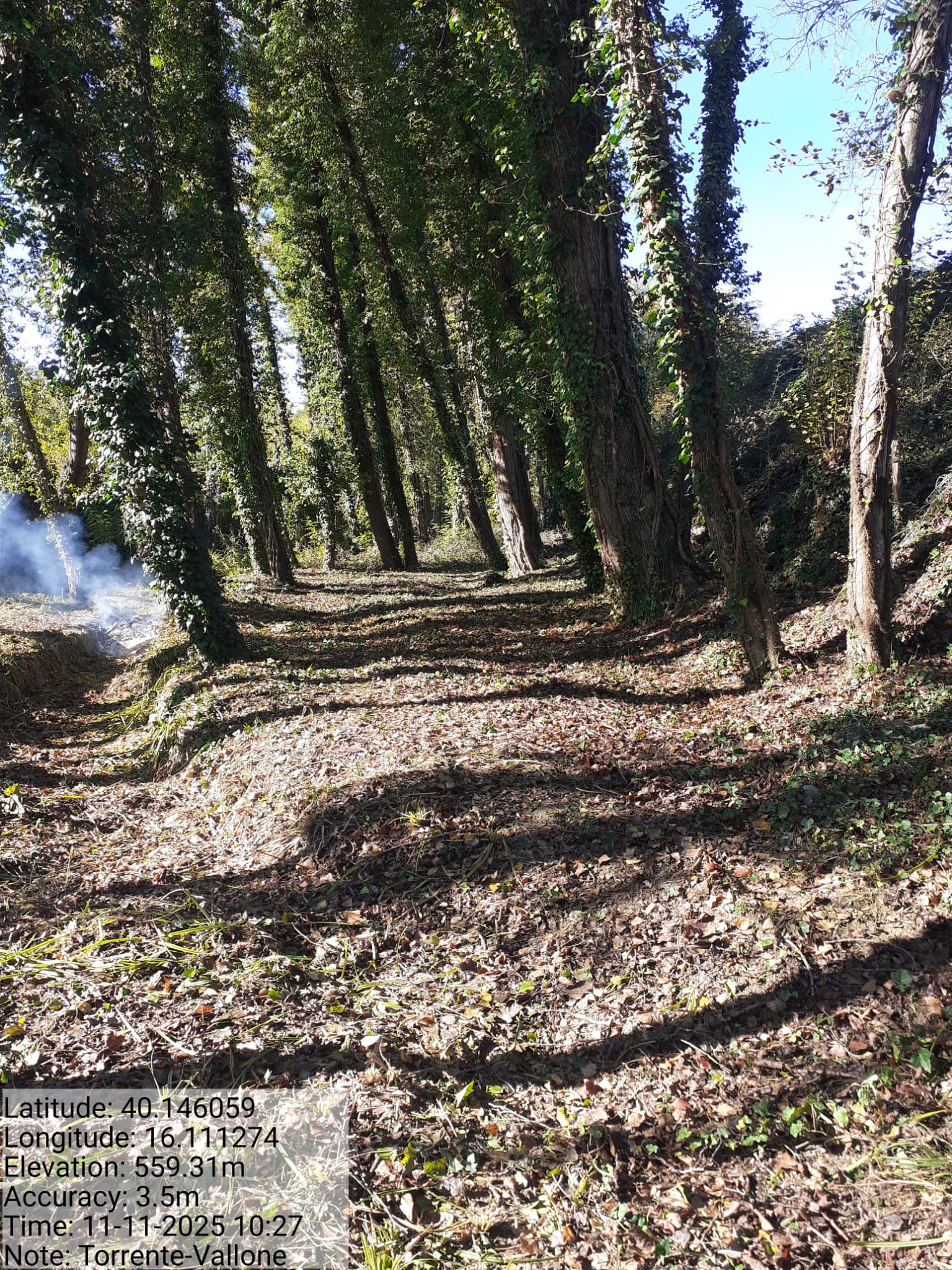 Galleria Fotografica Immagine