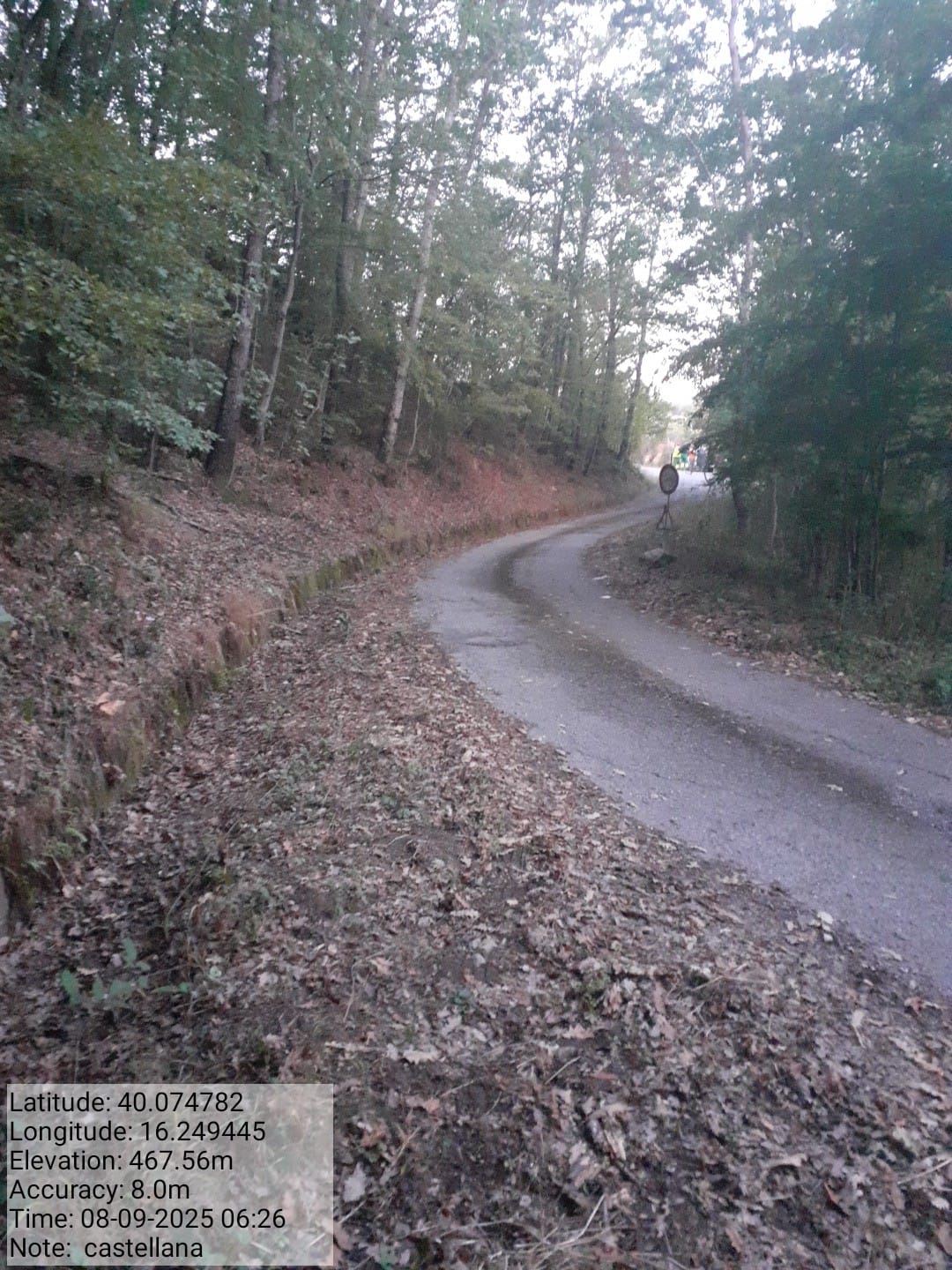 Galleria Fotografica Immagine