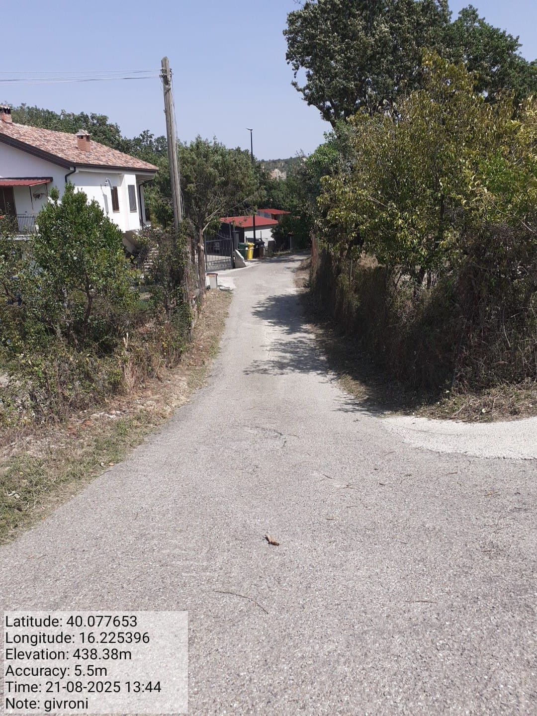 Galleria Fotografica Immagine