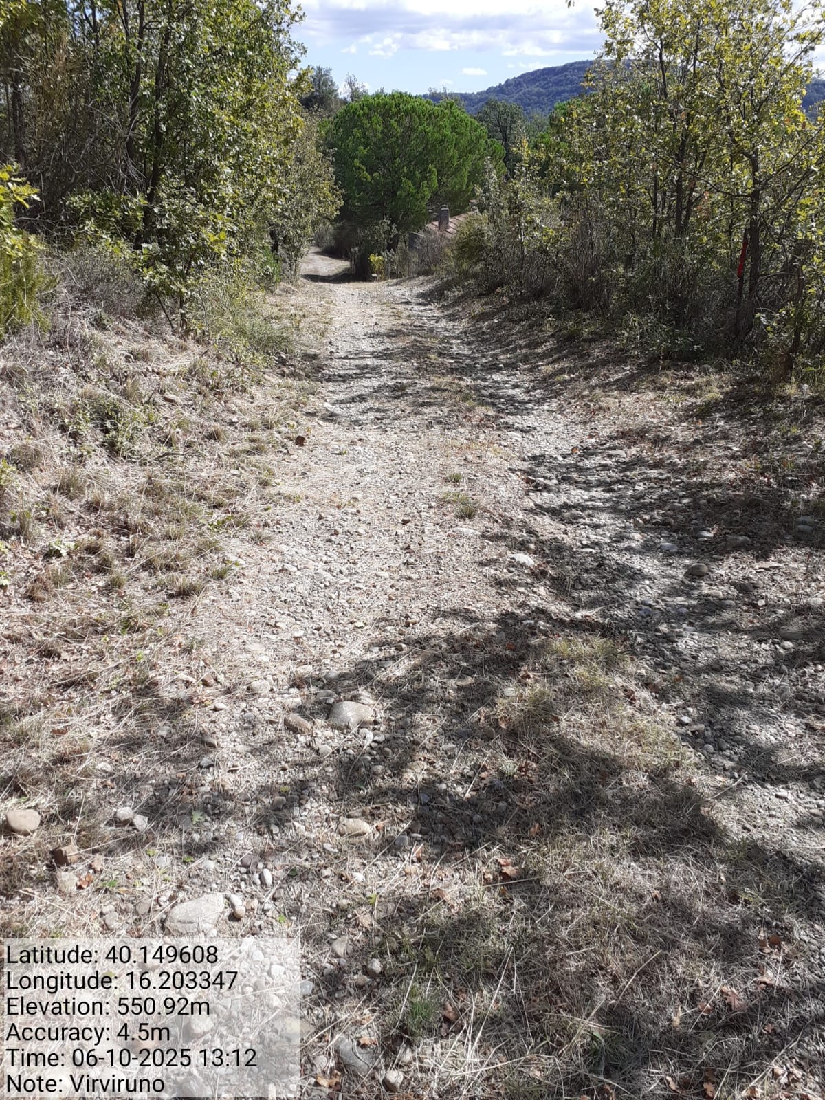 Galleria Fotografica Immagine