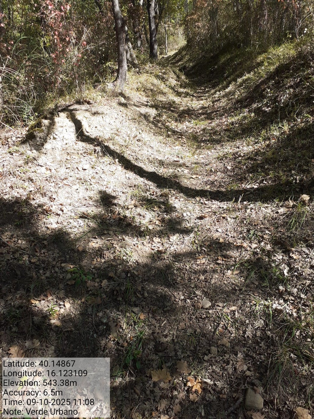 Galleria Fotografica Immagine